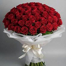 Букет 101 Красная роза Блэк Мэджик в Кумылженской