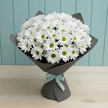 Букет цветов из:  Хризантемы #REPLACE_PRED# Кумылженской
