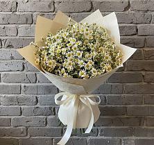 Букет цветов из:  Ромашки #REPLACE_PRED# Кумылженской