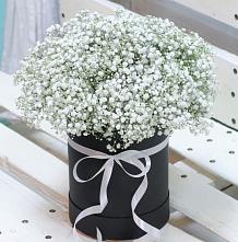 Цветочная композиция из Гипсофила в шляпной коробке в Кумылженской