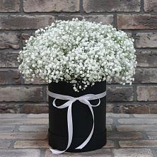 Цветочная композиция из Гипсофила в шляпной коробке в Кумылженской