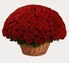 Премиум букет из: Розы #REPLACE_PRED# Кумылженской